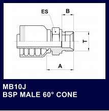 MB10J BSP MALE 60 CONE