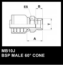 MB10J BSP MALE 60 CONE